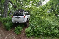 DSC_0804.jpg DSC_0804.jpg