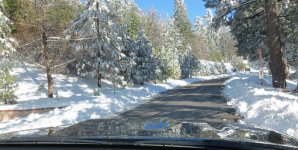 Snow.jpg
