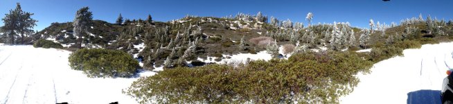 IMG_2608.jpg