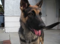 DSCN0090.jpg