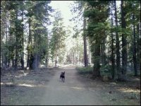 Kohl trail running.jpg
