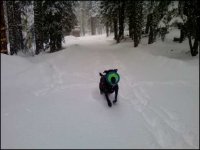 Kohl frisbe.jpg