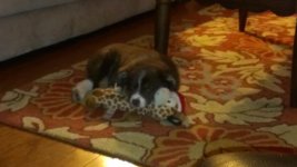 2013-01-06 20.42.30.jpg