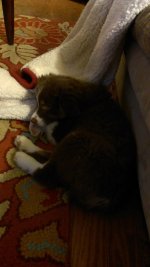 2013-01-04 22.01.33.jpg