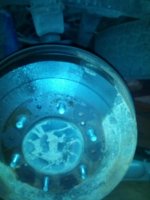 IMG_20130324_142927.jpg