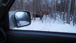 2013-03-30_20-32-46_223.jpg