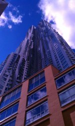 IMAG0310.jpg
