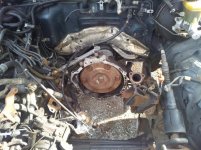 20120220_112323 (640x480).jpg 20120220_112323 (640x480).jpg