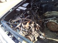 20120220_112329 (640x480).jpg 20120220_112329 (640x480).jpg