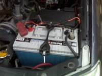 sear dh plat.jpg