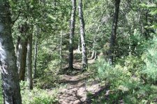 IMG_0134.JPG