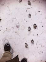 IMG_0559.JPG