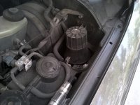 Westwood-20130505-00032.jpg