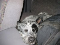 IMG_0109.jpg