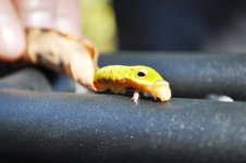 DSC_0345.jpg