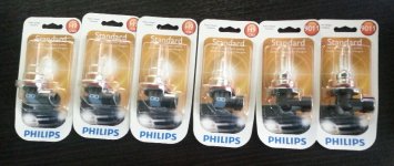 bulbs.jpg