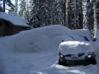 Feb 19 2011 002.jpg