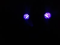 20130401_215731.jpg