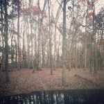 IMG_20121122_170207.jpg