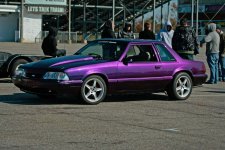 mustang.jpg