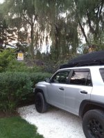 IMG_0336.jpg IMG_0336.jpg