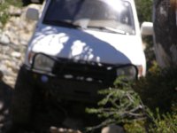 Gold Lake Run june 064.jpg