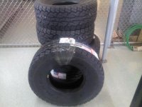 downsized_0404031059.jpg