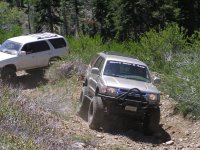 Gold Lake Run june 025.jpg Gold Lake Run june 025.jpg