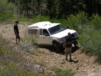 Gold Lake Run june 031.jpg Gold Lake Run june 031.jpg