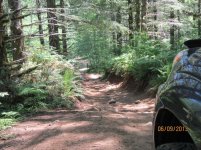 OffRoad 009.jpg