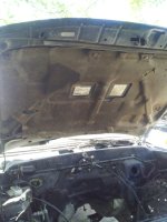 IMG_20130404_103139.jpg