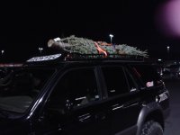 christmasTree.jpg