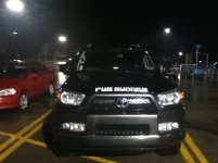 fur-runner.jpg