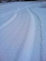 photo 2.jpg
