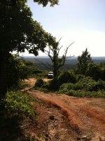 trail.jpg