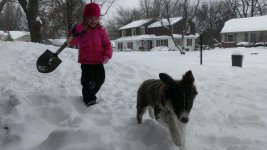 2013-02-21 12.39.34-5.jpg