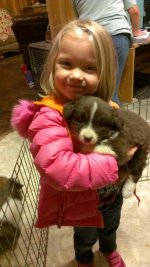 2012-11-29 18.16.26-3.jpg