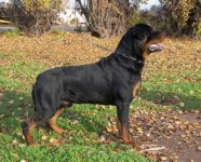 Vadar_18mths_012.jpg