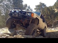 854Runner.jpg