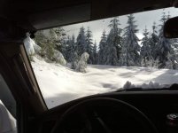 IMG_7882.jpg