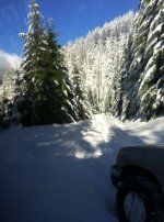 IMG_8175.jpg