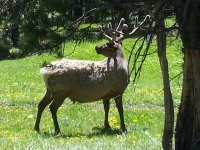 20130605_113318.jpg