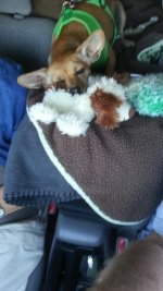 20130607_134145.jpg