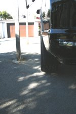 IMG_3117.jpg