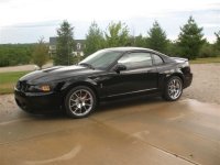 2003 cobra day shots at house 001.jpg