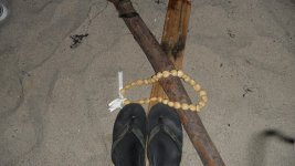 SAM_0453.jpg