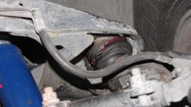 IMG_4945[1].jpg