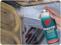 Procyon1.jpg