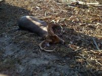 2012-12-01_09-47-55_353.jpg