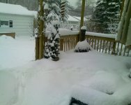 snow4.jpg